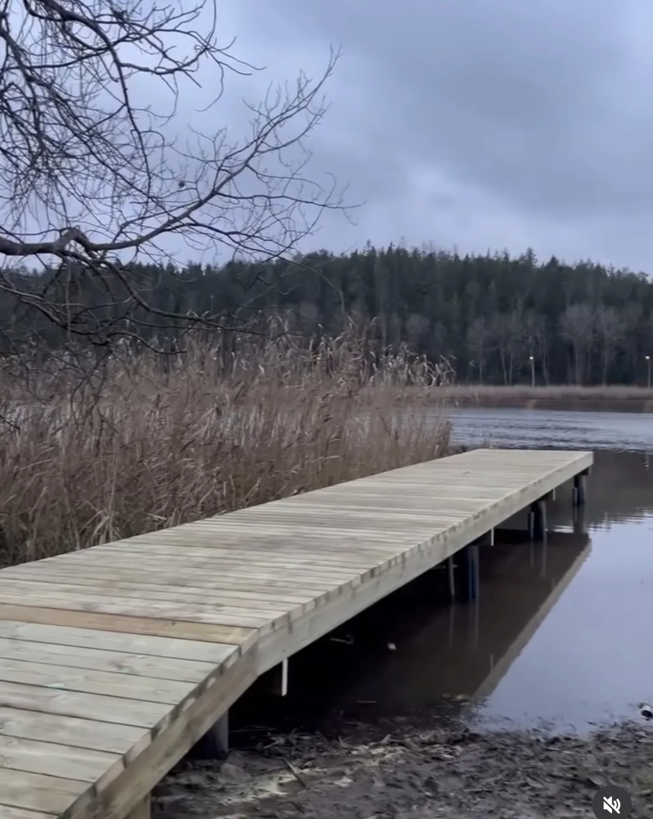 Färdig träbrygga med jämn gångyta vid sjötomt i Österåker
